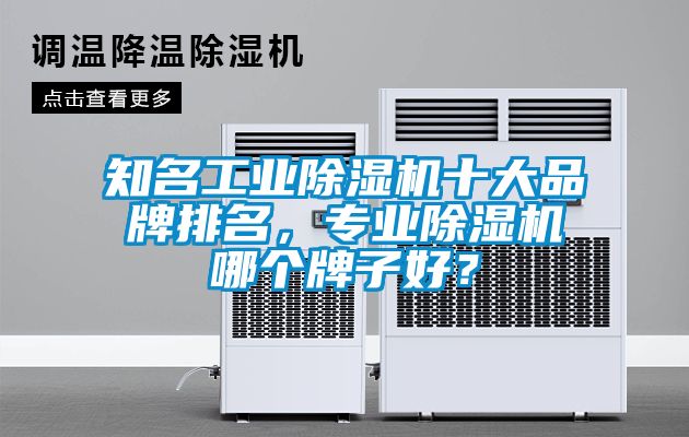 知名工業(yè)除濕機(jī)十大品牌排名，專業(yè)除濕機(jī)哪個牌子好？