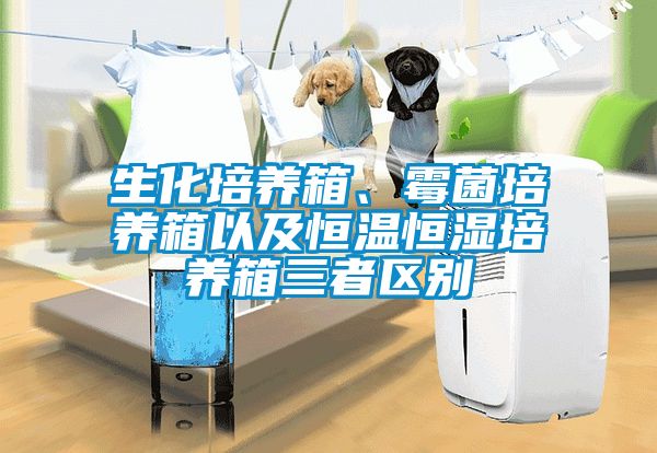 生化培養箱、霉菌培養箱以及恒溫恒濕培養箱三者區別