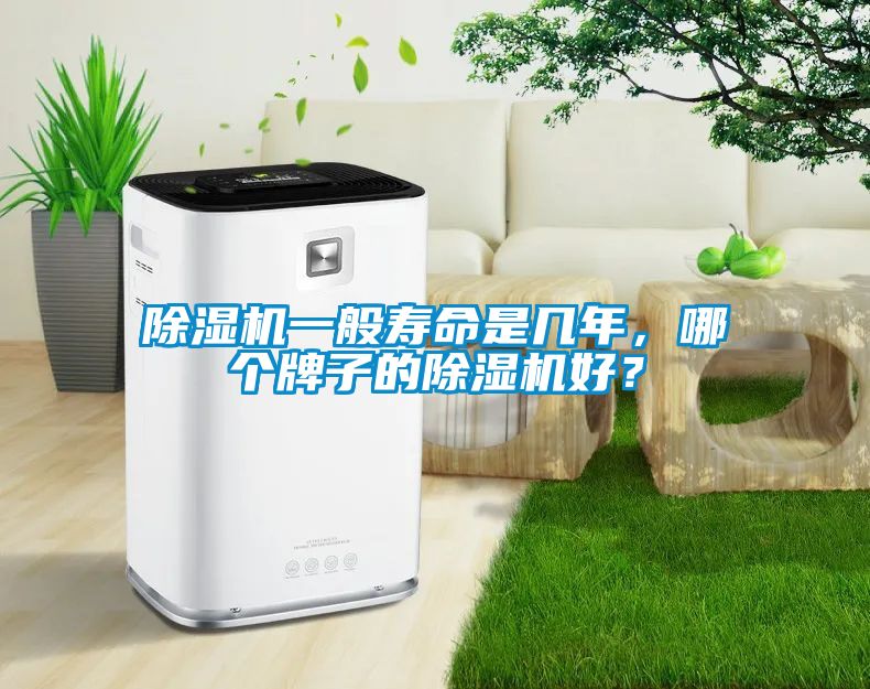除濕機一般壽命是幾年，哪個牌子的除濕機好？