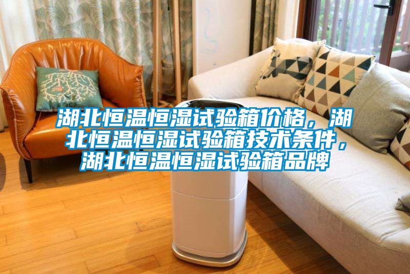 湖北恒溫恒濕試驗箱價格，湖北恒溫恒濕試驗箱技術條件，湖北恒溫恒濕試驗箱品牌