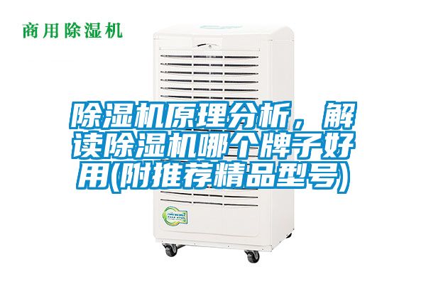 除濕機原理分析，解讀除濕機哪個牌子好用(附推薦精品型號)
