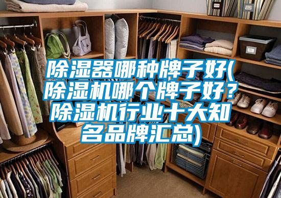 除濕器哪種牌子好(除濕機(jī)哪個(gè)牌子好？除濕機(jī)行業(yè)十大知名品牌匯總)