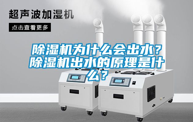 除濕機(jī)為什么會出水？除濕機(jī)出水的原理是什么？