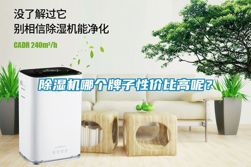 除濕機哪個牌子性價比高呢？