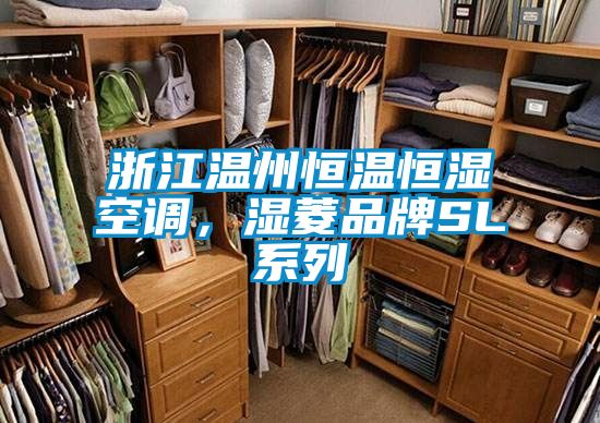 浙江溫州恒溫恒濕空調，濕菱品牌SL系列