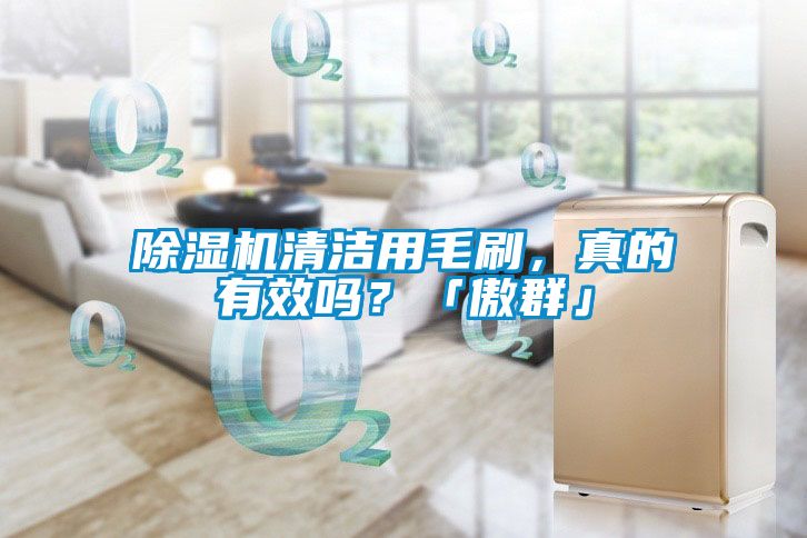 除濕機清潔用毛刷，真的有效嗎？「傲群」