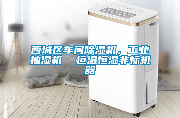 西城區車間除濕機，工業抽濕機  恒溫恒濕非標機器