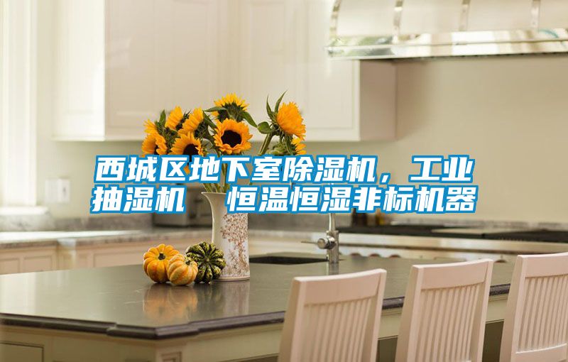 西城區地下室除濕機，工業抽濕機  恒溫恒濕非標機器