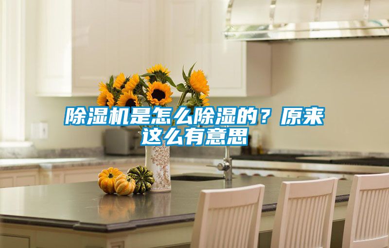 除濕機(jī)是怎么除濕的？原來(lái)這么有意思