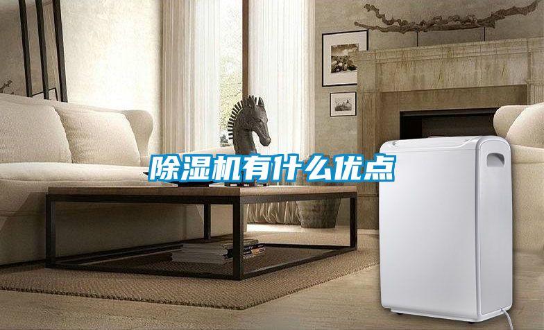 除濕機(jī)有什么優(yōu)點