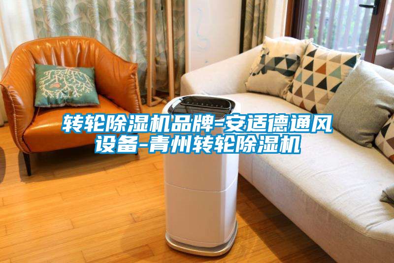 轉(zhuǎn)輪除濕機品牌-安適德通風設備-青州轉(zhuǎn)輪除濕機