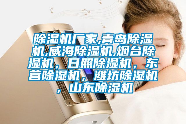除濕機(jī)廠家,青島除濕機(jī),威海除濕機(jī),煙臺(tái)除濕機(jī)，日照除濕機(jī)，東營(yíng)除濕機(jī)，濰坊除濕機(jī)，山東除濕機(jī)