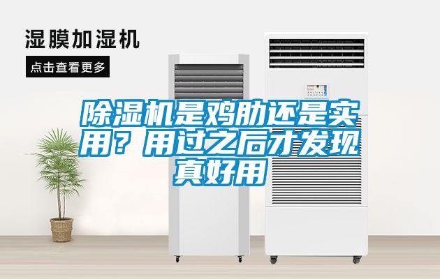 除濕機(jī)是雞肋還是實(shí)用？用過(guò)之后才發(fā)現(xiàn)真好用