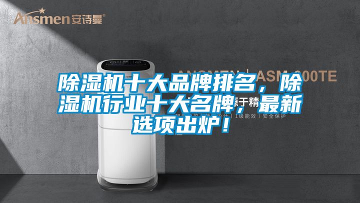 除濕機(jī)十大品牌排名，除濕機(jī)行業(yè)十大名牌，最新選項(xiàng)出爐！
