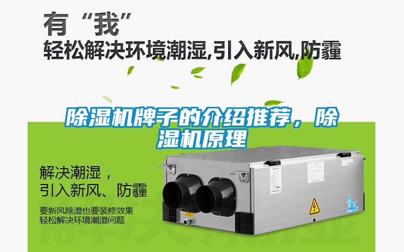 除濕機牌子的介紹推薦，除濕機原理