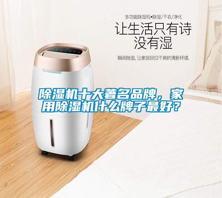 除濕機(jī)十大著名品牌，家用除濕機(jī)什么牌子最好？