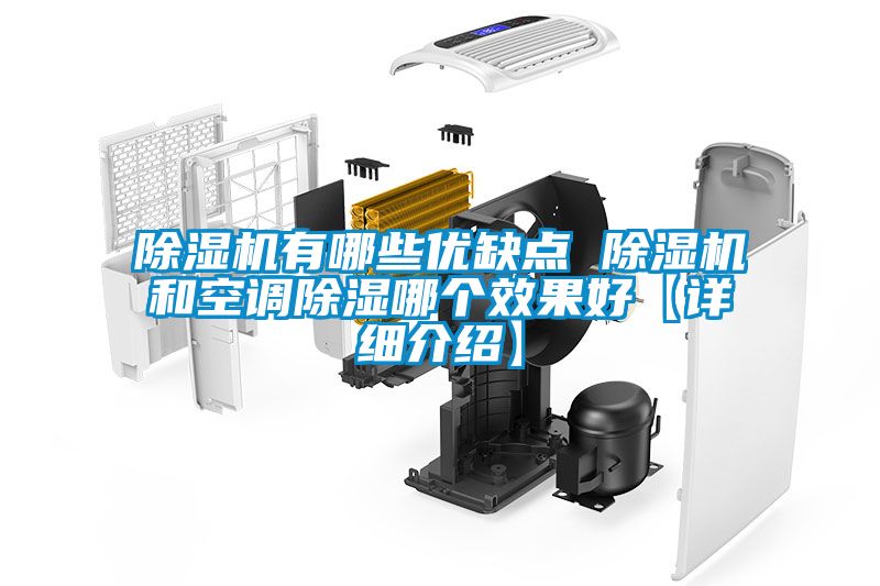 除濕機(jī)有哪些優(yōu)缺點(diǎn) 除濕機(jī)和空調(diào)除濕哪個效果好【詳細(xì)介紹】