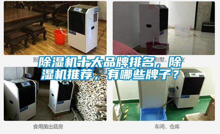 除濕機(jī)十大品牌排名，除濕機(jī)推薦，有哪些牌子？