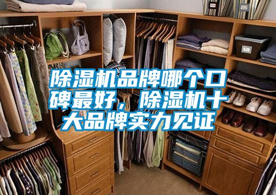 除濕機品牌哪個口碑最好，除濕機十大品牌實力見證