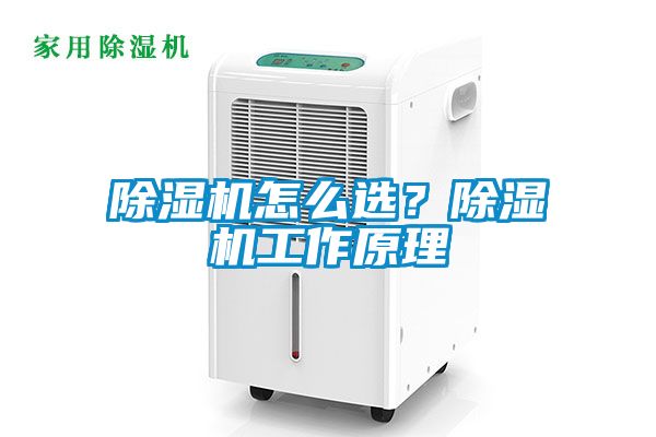 除濕機(jī)怎么選？除濕機(jī)工作原理