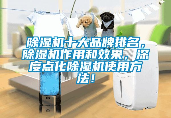 除濕機(jī)十大品牌排名，除濕機(jī)作用和效果，深度點(diǎn)化除濕機(jī)使用方法！