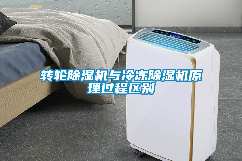 轉輪除濕機與冷凍除濕機原理過程區(qū)別
