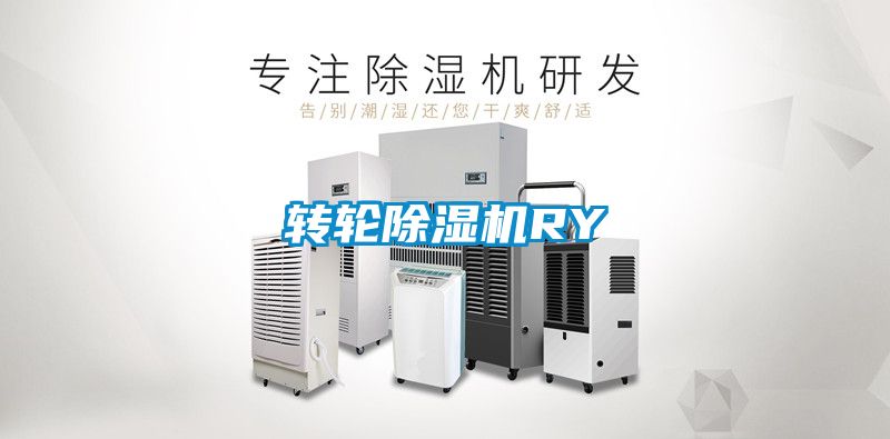 轉(zhuǎn)輪除濕機RY