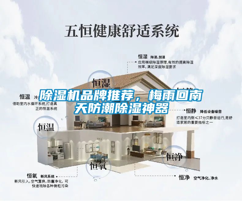 除濕機品牌推薦，梅雨回南天防潮除濕神器