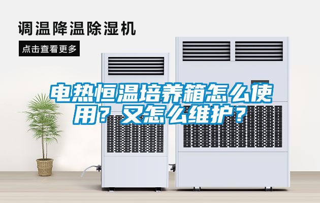 電熱恒溫培養箱怎么使用？又怎么維護？