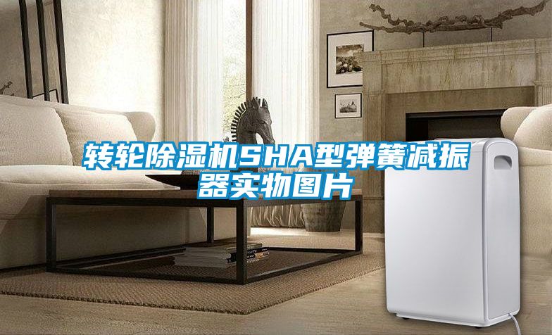 轉(zhuǎn)輪除濕機SHA型彈簧減振器實物圖片