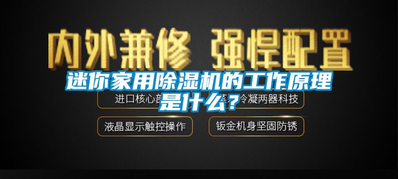 迷你家用除濕機的工作原理是什么？
