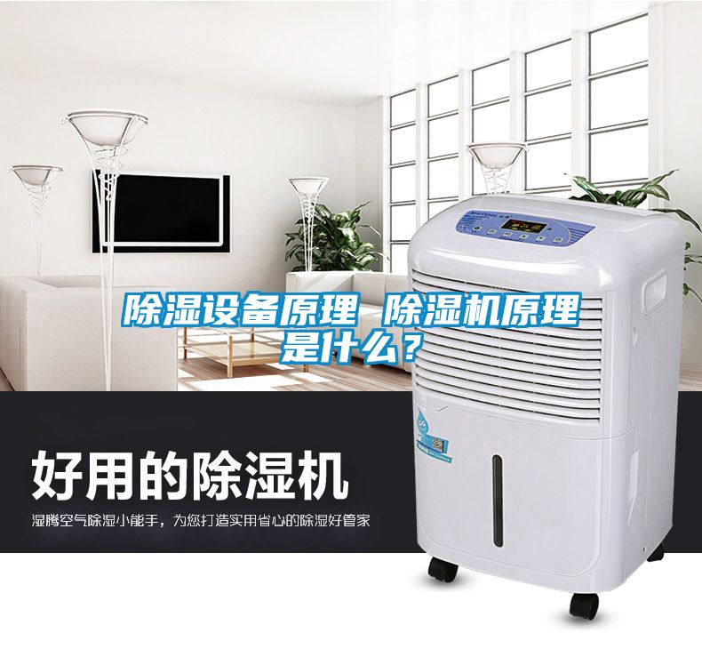 除濕設(shè)備原理 除濕機(jī)原理是什么？