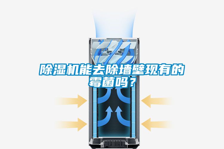 除濕機能去除墻壁現有的霉菌嗎？