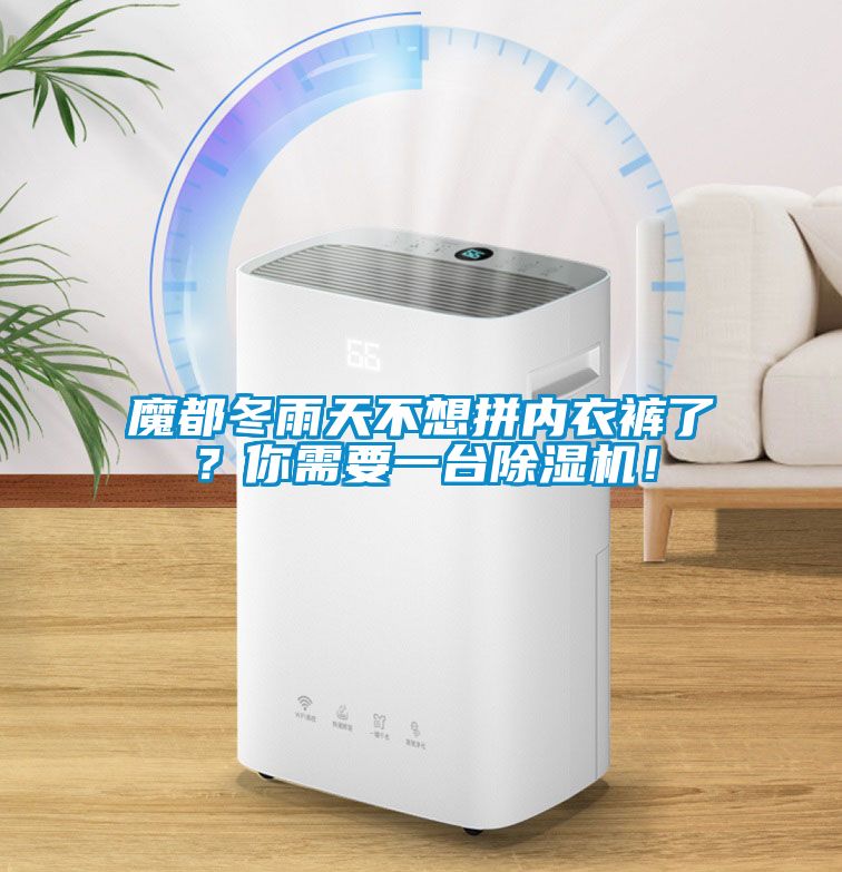 魔都冬雨天不想拼內(nèi)衣褲了？你需要一臺除濕機！