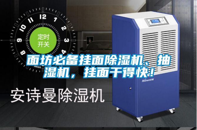 面坊必備掛面除濕機(jī)、抽濕機(jī)，掛面干得快！