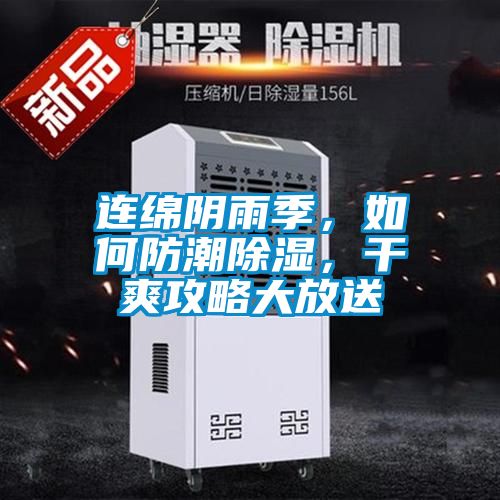 連綿陰雨季，如何防潮除濕，干爽攻略大放送