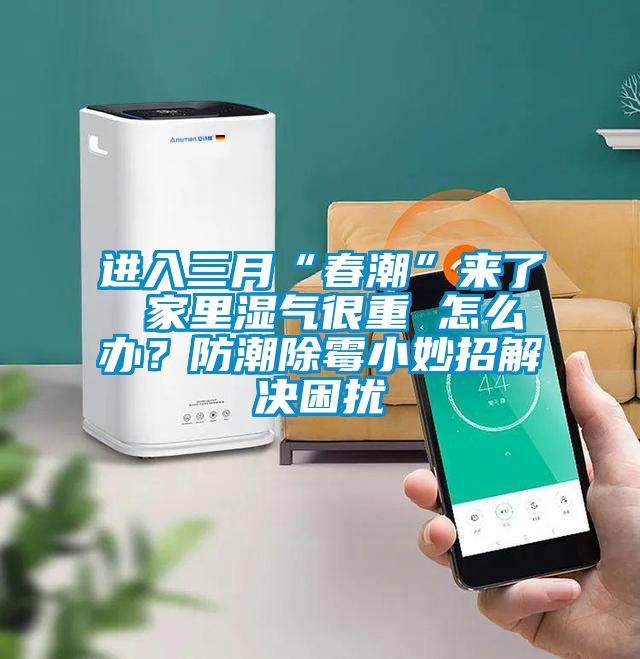 進(jìn)入三月“春潮”來了 家里濕氣很重 怎么辦？防潮除霉小妙招解決困擾