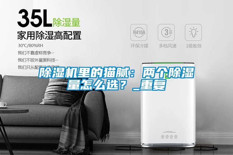 除濕機里的貓膩：兩個除濕量怎么選？_重復