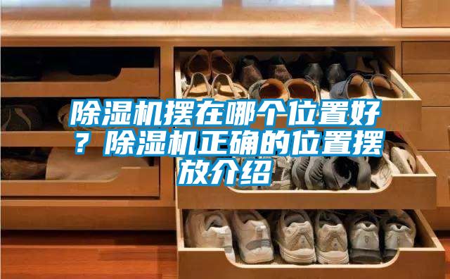 除濕機擺在哪個位置好？除濕機正確的位置擺放介紹