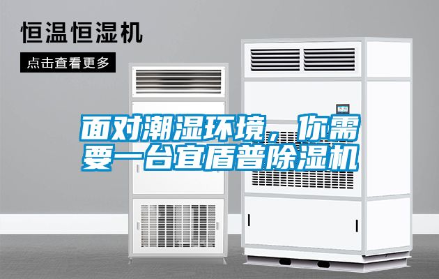 面對潮濕環(huán)境，你需要一臺(tái)宜盾普除濕機(jī)