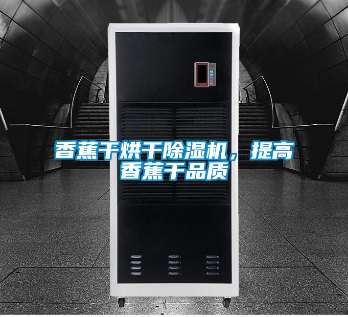 香蕉干烘干除濕機(jī)，提高香蕉干品質(zhì)