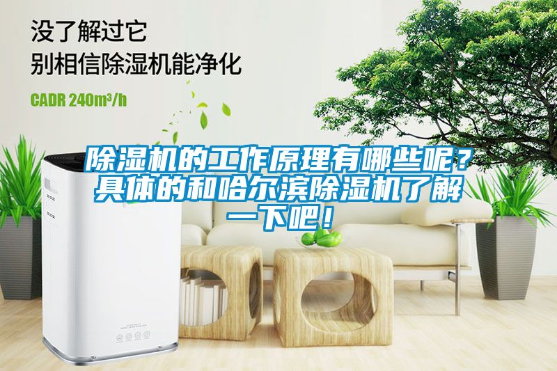 除濕機的工作原理有哪些呢？具體的和哈爾濱除濕機了解一下吧！