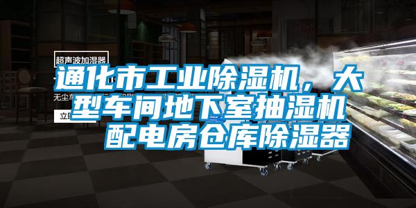 通化市工業除濕機，大型車間地下室抽濕機  配電房倉庫除濕器