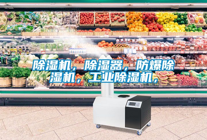 除濕機，除濕器，防爆除濕機，工業除濕機，