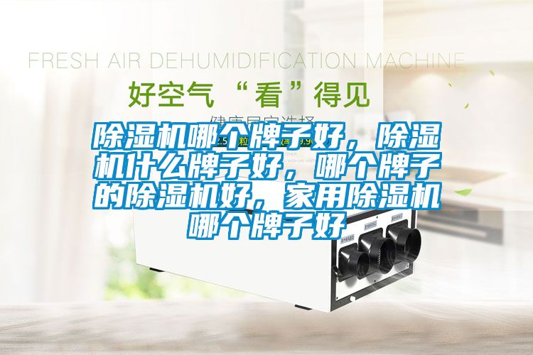 除濕機(jī)哪個(gè)牌子好，除濕機(jī)什么牌子好，哪個(gè)牌子的除濕機(jī)好，家用除濕機(jī)哪個(gè)牌子好