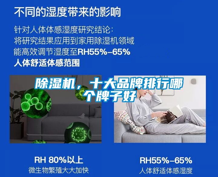 除濕機，十大品牌排行哪個牌子好