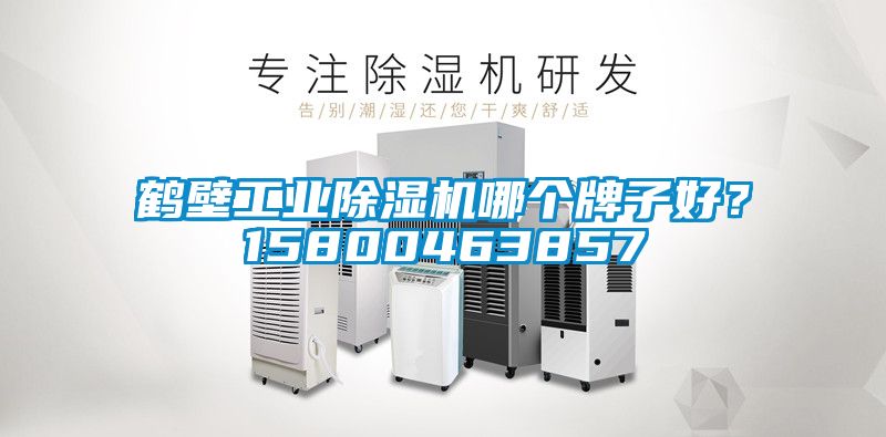 鶴壁工業(yè)除濕機(jī)哪個牌子好？15800463857