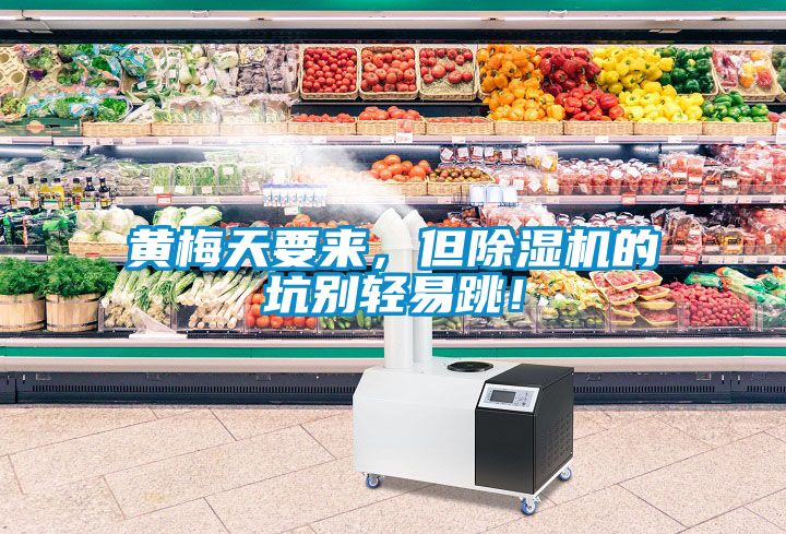 黃梅天要來，但除濕機的坑別輕易跳！