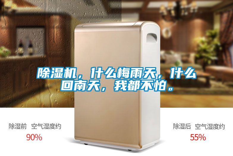 除濕機，什么梅雨天，什么回南天，我都不怕。
